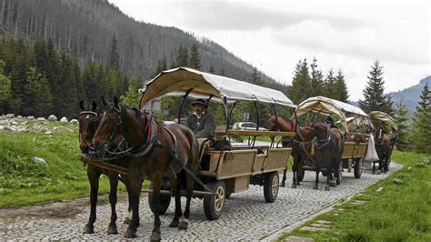 Zakopane Meleksy Nie B D Wozi Turyst W Ttg Polska Dziennik Turystyczny