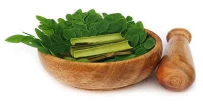 5 health benefits of drumstick leaves | TheHealthSite.com