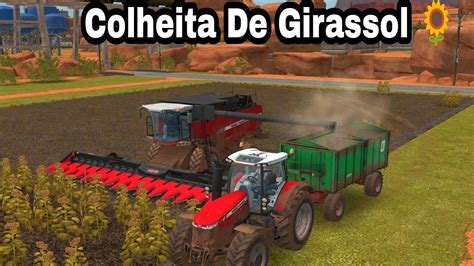 Farming Colhendo Girassol A Mf Delta Youtube