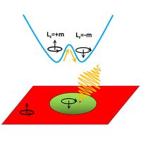 Phys Rev Research 3 013253 2021 Optical Manipulation Of Domains