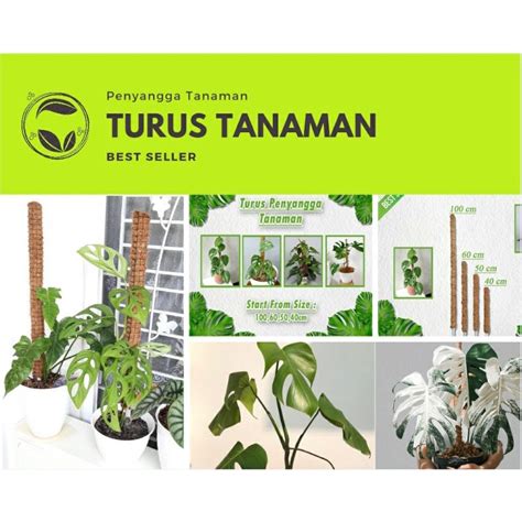 Jual Turus Penyangga Tanaman Pipa Ukuran 200 Cm Shopee Indonesia