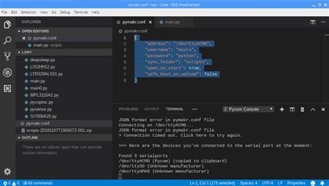 Pymakrvscode On Raspberry Pi Pycom User Forum