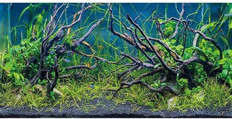 Buy AWERT 72x24 inches Tropical Fish Tank Background River Bed & Lake ...