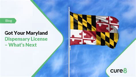 Got Your Maryland Dispensary License Whats Next Cure8