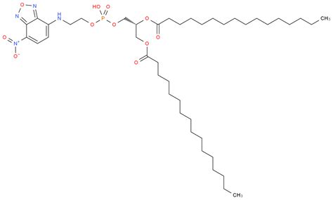 Phosphatidylethanolamine Structure