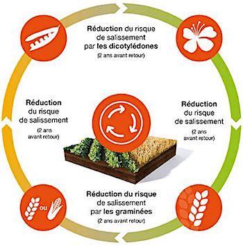 Exemples De Rotation Des Cultures