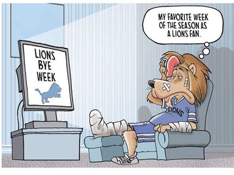 Lions fans sounded off on bye week. See the winning entry.