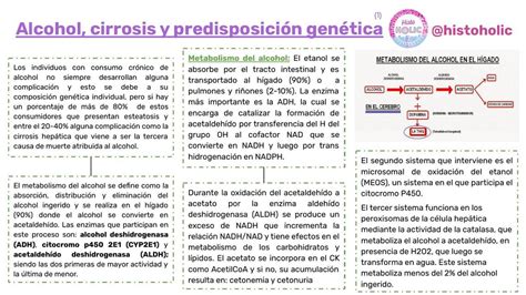 Esquema de Alcohol Cirrosis y Predisposición genética Patología