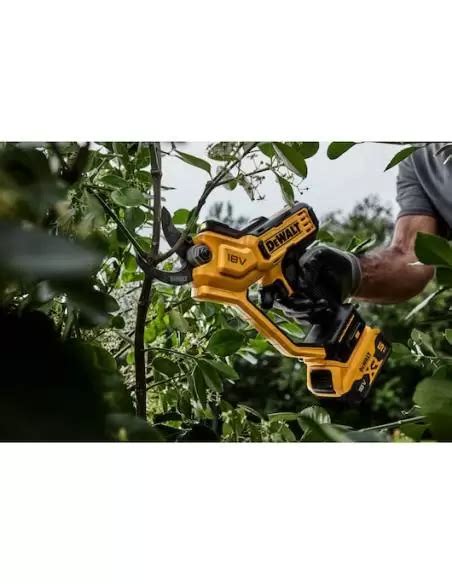 S Cateur Sans Fil V Ah Xr Power Pruner Dcmpp P Qw Dewalt