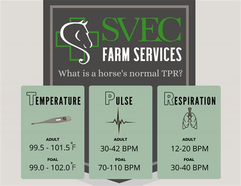 Normal Vital Signs Saginaw Valley Equine Clinic