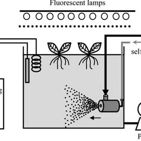 Schematic Diagram Of Deep Flow Technique Hydroponics Culture System Download Scientific Diagram