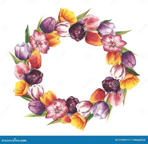 Watercolor Illustration Of A Wreath Of Tulips With Leaves Isolated On