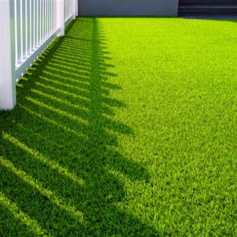 Difference Between Synthetic Turf And Artificial Grass