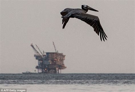 Trump Opens Way For Offshore Drilling In Federal Waters Daily Mail Online