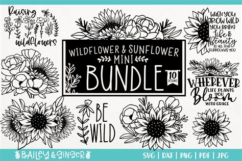 Embellishments Scrapbooking 30 Wildflowers Svg Bundle Hand Drawn