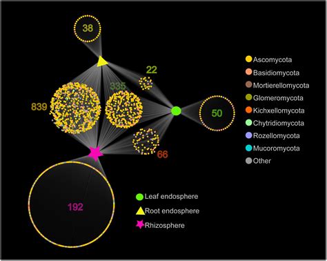 Frontiers Leaf And Root Endospheres Harbor Lower Fungal Diversity And