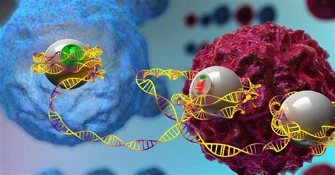 Exploring the Mechanics of Gene Expression | Duke Department of ...