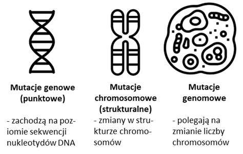 Czym są mutacje genetyczne Kursy maturalne Matura100procent