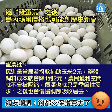 通說 On Twitter 【繼“雞蛋荒”之後，台灣養鴨協會理事長：“島內鴨蛋價格也可能創歷史新高”】 據台灣“中時新聞網”10日消息，受