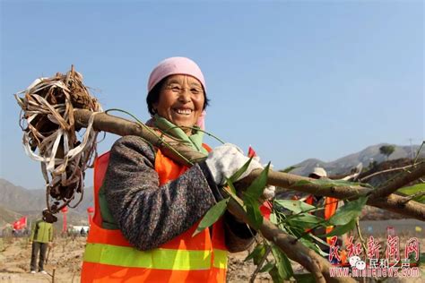 【镜头聚焦】让绿水青山成为我们的金山银山——民和澎湃号·政务澎湃新闻 The Paper