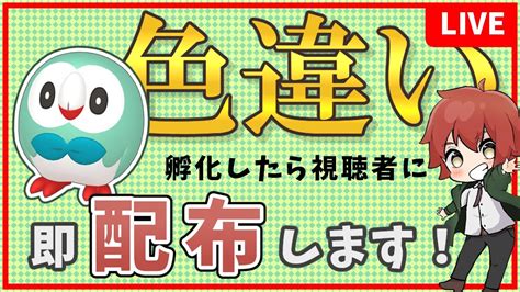 色違いモクロー孵化したら配布します【ポケモンsv】孵化余り配布しながら Youtube