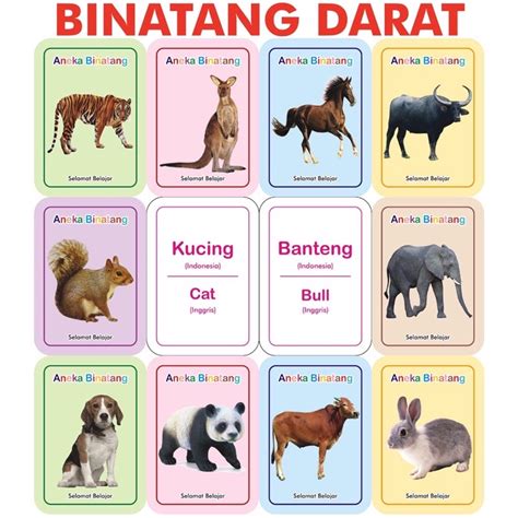 Jual Flashcard Aneka Binatang Darat Anak Balita Flash Card Shopee