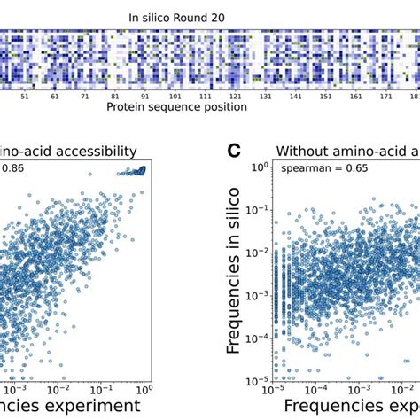 FIG S4 Position Specific Amino Acid Frequencies For Experimental And