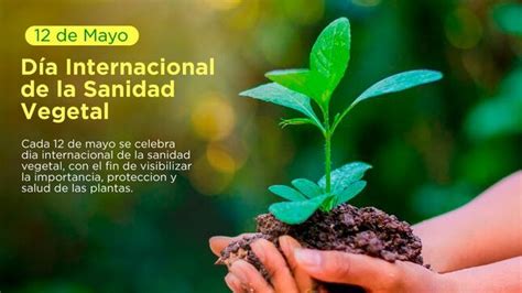 Hoy se celebra el Día Internacional de la Sanidad Vegetal Noticias