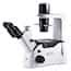 Motic Ae Inverted Microscopes From Cole Parmer India