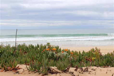 Faro Beach Portugal | Portugal beach, Beach, Outdoor