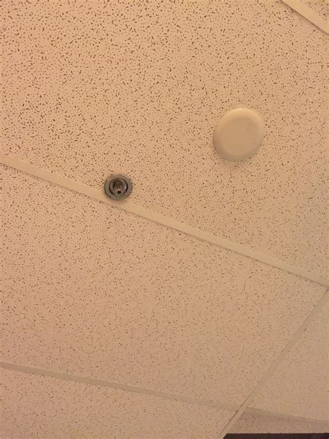 Installing Ceiling Tiles Around Sprinkler Heads Shelly Lighting