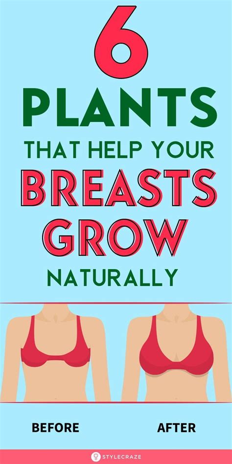 6 Plants That Will Help Your Breasts Grow Naturally Artofit