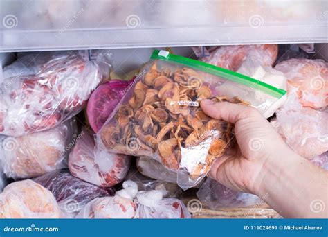 Refrigerator With Frozen Food Frozen Dried Fruits In A Package Stock