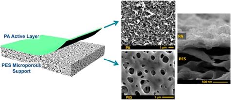 Membranes Free Full Text Important Approaches To Enhance Reverse