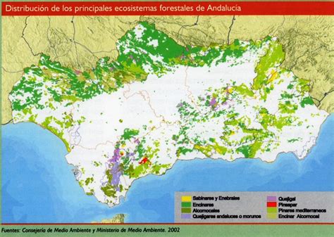 Medio Ambiente en Andalucía Informe 2001 Consejería de Medio