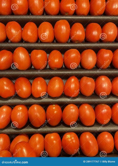 Food Backgrounds Grocery Store Produce Department Rows Of Roma Tomatoes