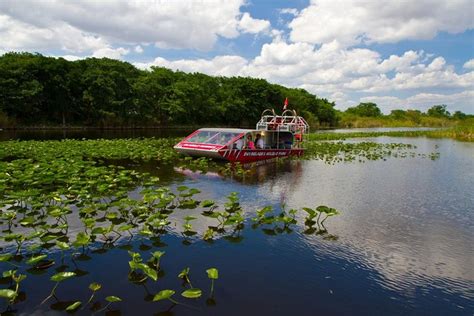 Everglades Air Boat And Alligator Tour From Miami: Triphobo