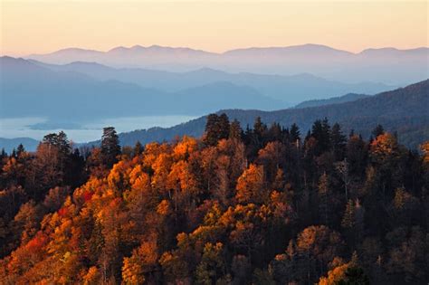 2023 Smoky Mountains Fall Foliage and Forecast