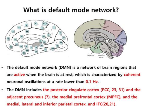 Ppt Default Mode Network Spontaneous Fluctuations In Fmri Brain Powerpoint Presentation Id