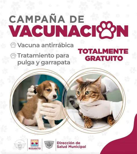 Invita Gobierno Municipal a aprovechar la Campaña Gratuita de