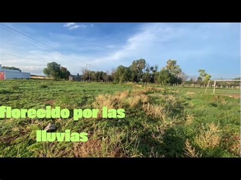 As Amanece Ojocaliente Zacatecas Florecido Por Las Fuertes Lluvias