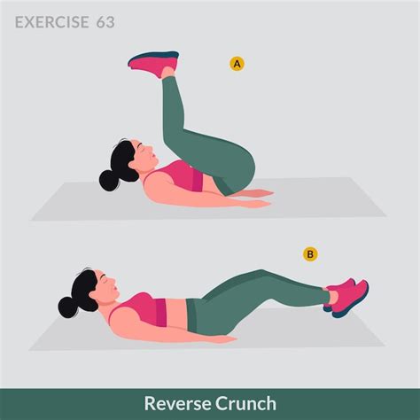 Premium Vector Reverse Crunch Exercise Woman Workout Fitness