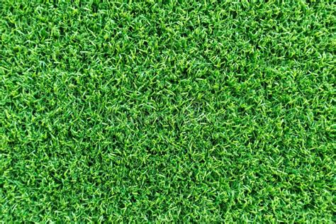 Grass Field Texture For Golf Course, Soccer Field Or Sports Background ...