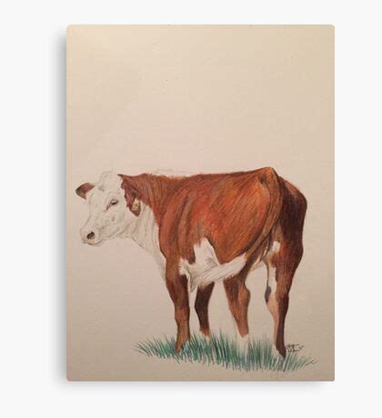 Hereford Cow: Canvas Prints | Redbubble