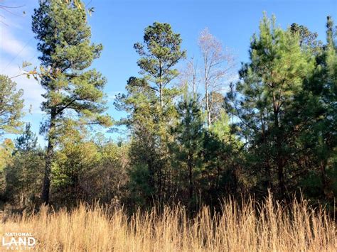 Midway Bullock County Al Recreational Property Timberland Property