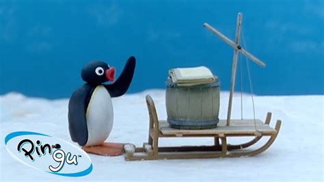 Pingu Explores The World Pingu Official Channel Cartoons For Kids