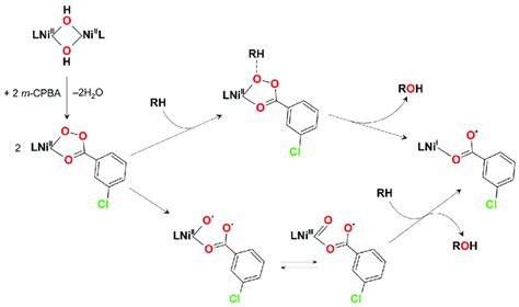 Scheme 7 Proposed Reaction Pathways For Oxidation Of The Substrate RH