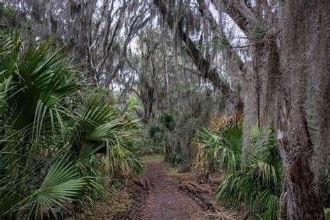 Skidaway Island State Park - Savannah, GA - Dog Friendly