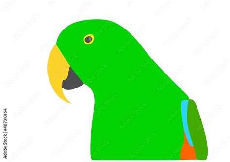 Cartoon Illustration Of Captive Bred Male Green Eclectus Parrot Eclectus Roratus Sitting