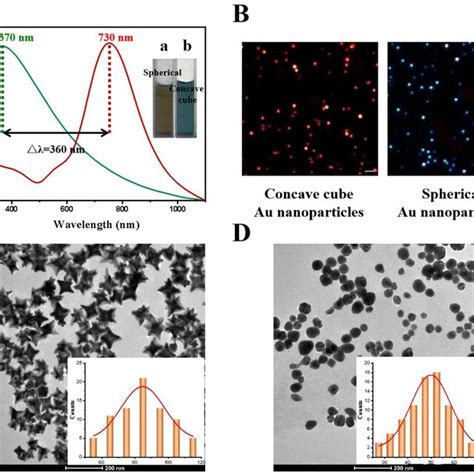 A Uv Vis Spectra B Representative Dfm Images C Tem Images Of